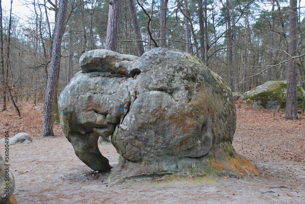 Rocher de l'éléphant, forêt de Fontainebleau, Barbizon, France  - the Elephant Rock, Barbizon village in Fontainebleau forest
