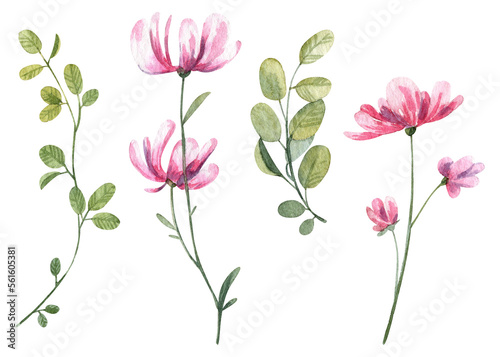 Set of cute realistic watercolor pink flowers and green leaves on white background. Hand painted detailed botany illustration