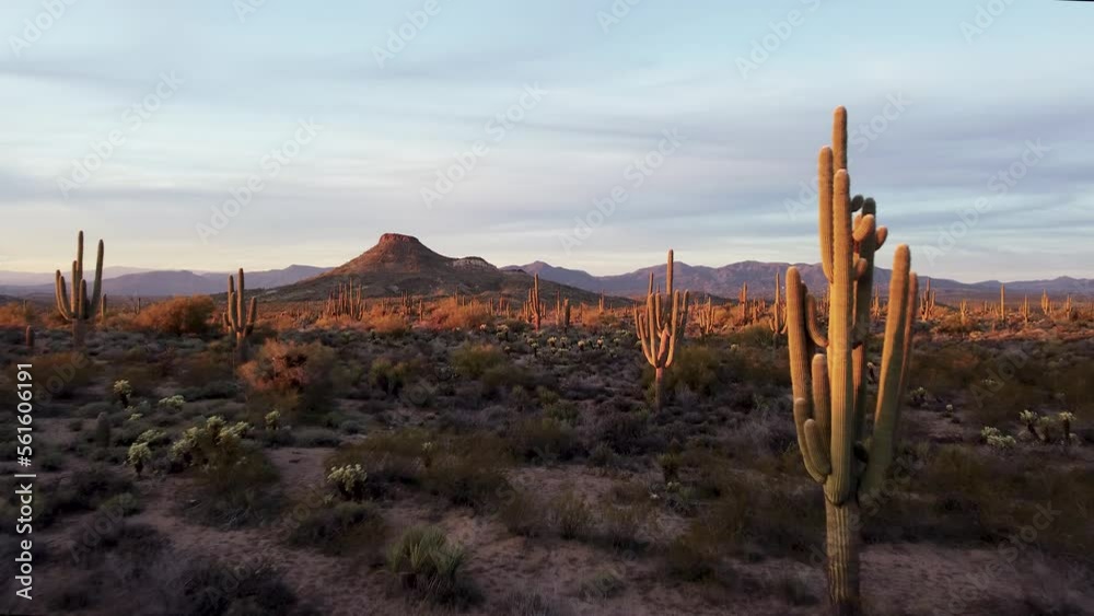 Dusk Time Over A Sonoran Desert Landscape In Arizona