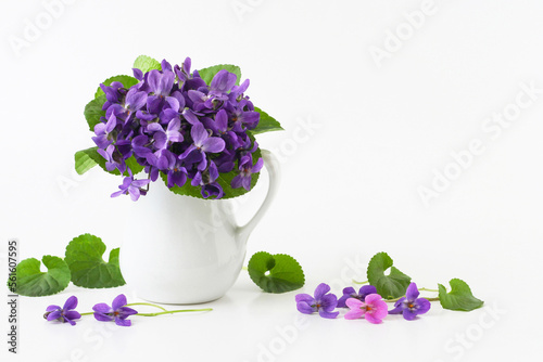Spring bouquet of violet flowers of viola odorata in vase on white background, text copy space. Real studio photo of decorative still life of spring purple blue flowers in a jug.