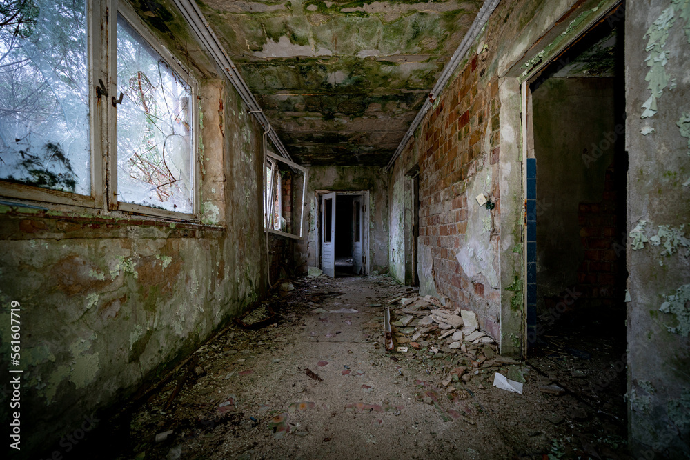 In Brandenburg, history isn't just told, it's hidden underground in old bunkers! Imagine strolling through the woods and stumbling upon a bunker from the Cold War In Brandenburg, history isn't just told, it's hidden underground in old bunkers! Imagine strolling through the woods and stumbling upon a bunker from the Cold War