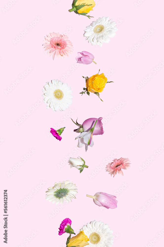 Colorful flowers fly on a pink background. Summer and spring aesthetic nature concept.
