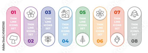 nature infographic element with outline icons and 8 step or option. nature icons such as black cherry tree, pointia, pinnate, cliff, larch, geranium, iceberg, balsam fir tree vector.