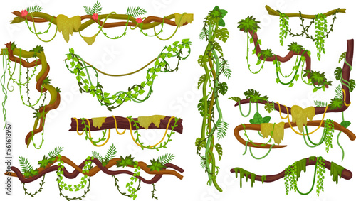 Liana thicket. Wood branches with creepers, hanging jungle liana rope ivy vines wire forest plant game asset, leaf decoration climbing floral stem, ingenious vector illustration