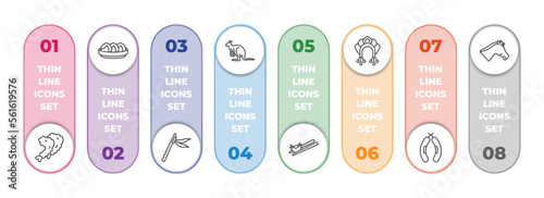 culture infographic element with outline icons and 8 step or option. culture icons such as fried shrimp, steamed bread, native american flute, australian kangaroo, wontons, kokoshnik, chorizo, horse