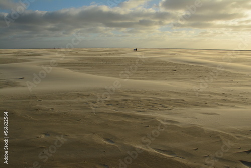 Sandbank Amrum