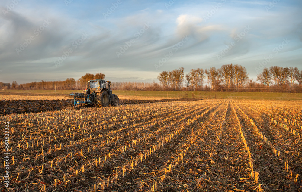 Obraz premium Tractor on the field during sunset.