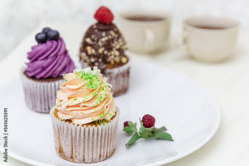 Colorful cupcakes with swirled cream frosting and berries. Blueberry, chocolate and vanilla cupcakes. Decorated dessert. Assorted cupcakes.