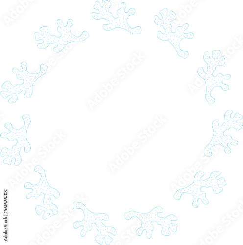 Decorative Coral Frame