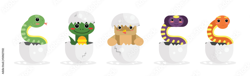 Fototapeta premium Chick and Reptile Hatching from Cracked Egg Shell Vector Set
