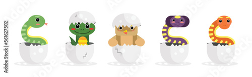Chick and Reptile Hatching from Cracked Egg Shell Vector Set