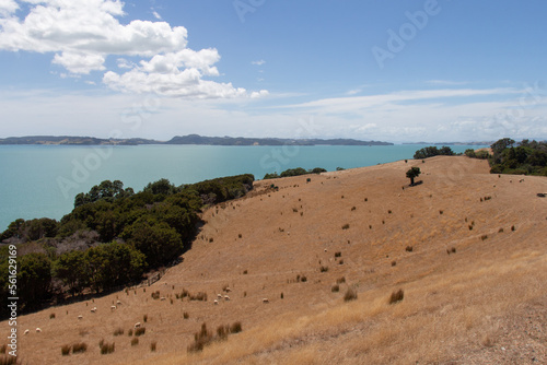 Picturesque landscape with bush, sea and mountains on background in a sunny day, Duder Regional Park, Auckland city, New Zealand.