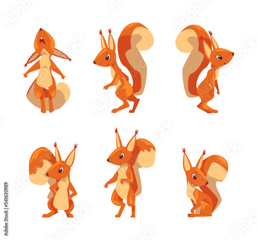 Cute red squirrel in different poses set. Wild funny animal cartoon vector illustration