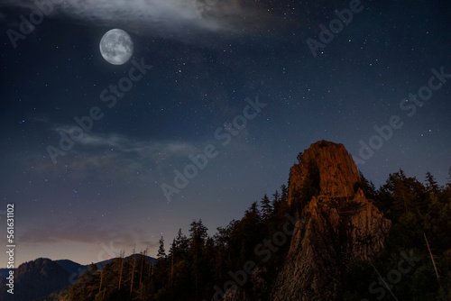 Peak of mountain with spruce forests on the slopes against the backdrop of starry night sky