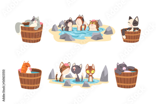 Set of funny cats taking japanese hot spring onsen bath. Pet animals enjoying spa procedures cartoon vector illustration