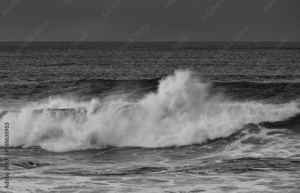 An afternoon on the Cantabrian coast with landscapes, fauna and waves!