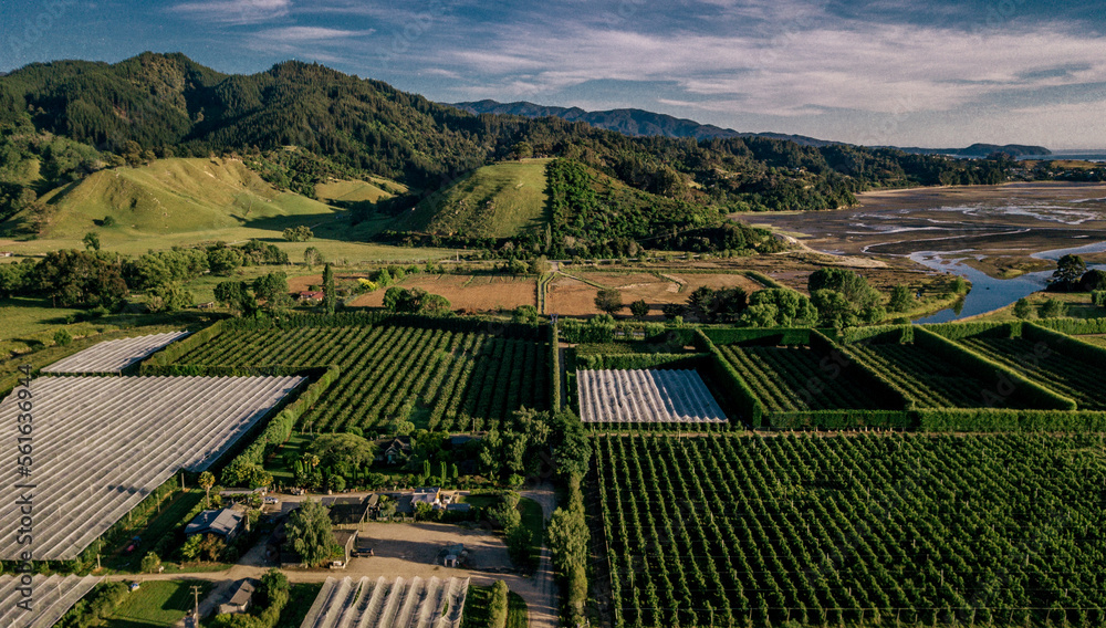 view of vineyards countryside aerial