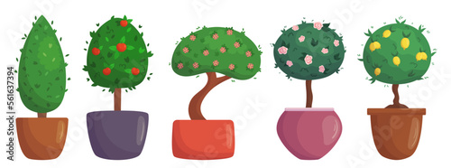 Trees or Bushes in Pots Isolated on White Background. Landscaping Design Elements, Natural Plants in Flowerpots
