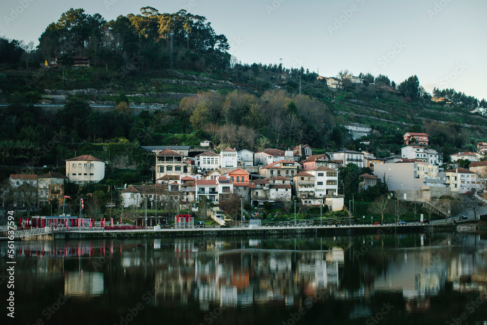 Fototapeta premium View of the banks of the Douro River, in the valley. Portugal.