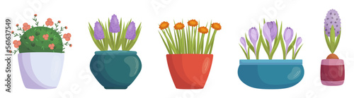 Set of Garden Potted Plants, Beautiful Blossoms in Street Vases and Pots Isolated on White Background. Flowers, Blossoms