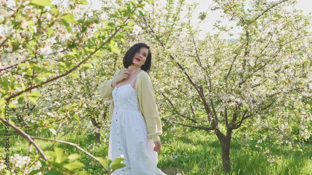 an attractive brunette in a white dress in a blooming spring garden. solar glare an attractive brunette in a white dress in a blooming spring garden. solar glare
