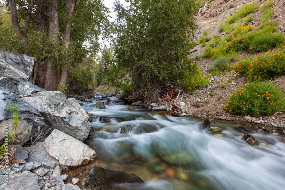 Rio Hondo flowing snow-melt water down from Taos Ski Valley, New Mexico Rio Hondo flowing snow-melt water down from Taos Ski Valley, New Mexico