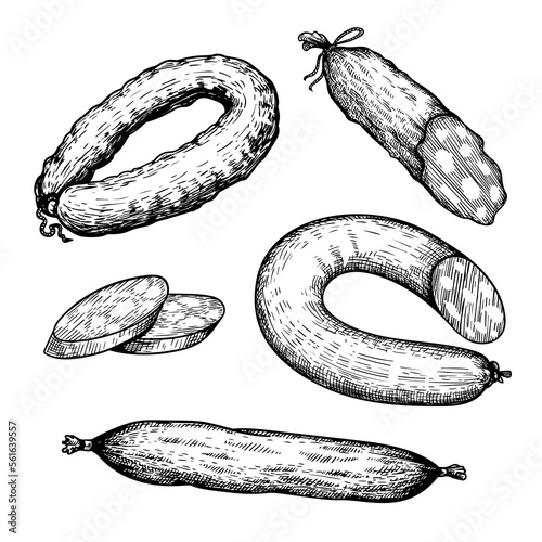 Hand drawn sketch style set of various sausages, salami. Butcher shop elements collection for menu , package designs. Vector illustration.