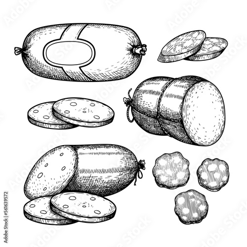 Hand drawn sketch style set of various sausages, salami. Butcher shop elements collection for menu , package designs. Vector illustration.