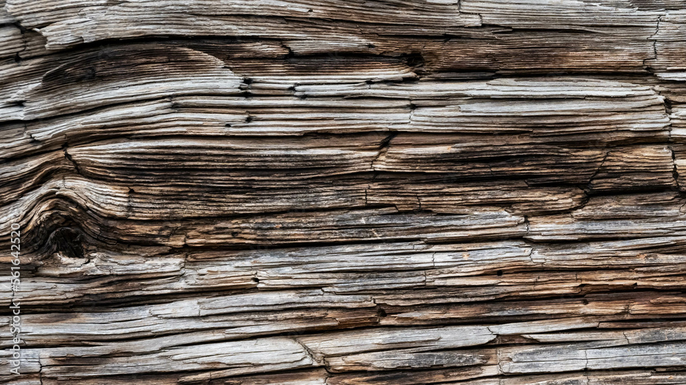 Fototapeta premium Natural Abstract: Weather Worn Wood Grain