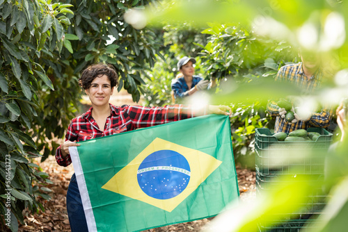 Happy girl football fan waving brazil flag during avocado harvest photo