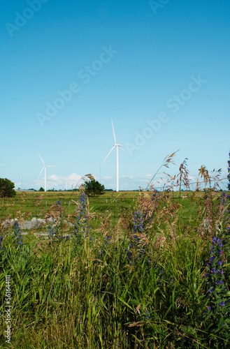 windmills stand against a blue cloudy sky