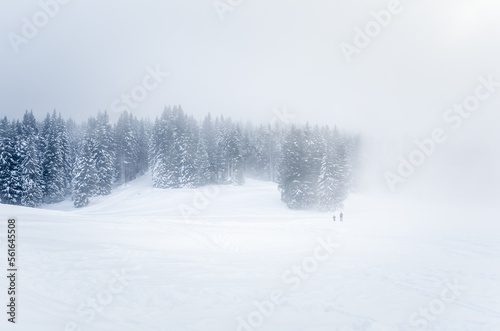 Backcountry skiers on a skiing trail in the mountains on a foggy winter day