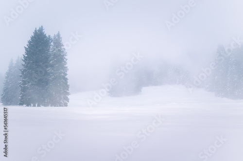 Foggy snow covered mountain lasndscape in winter. Wintry weather. © alpegor