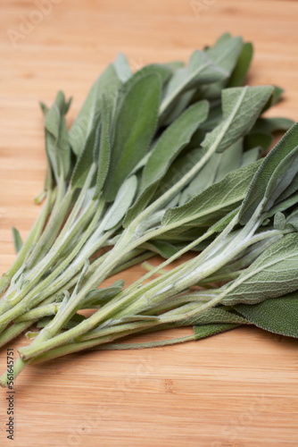 green sage on a wood background