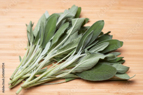 green sage on a wood background