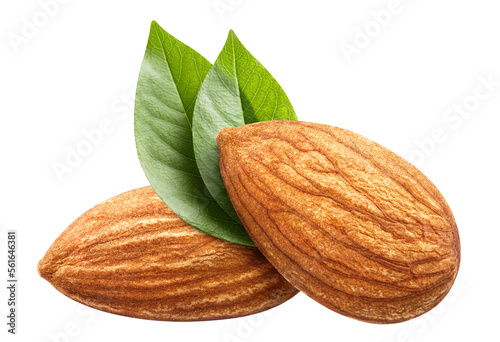 Fotobehang Two almonds with leaves cut out