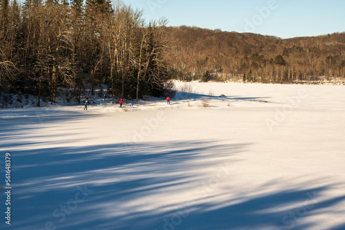 three nordic skiers on a the verge of a frozen lake surrounded by forest on a sunny day