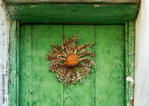 Eguzkilore (Carlina acanthifolia) nailed on a door, to avoid witches, spirits and protect the house, according to Basque mythology. photo