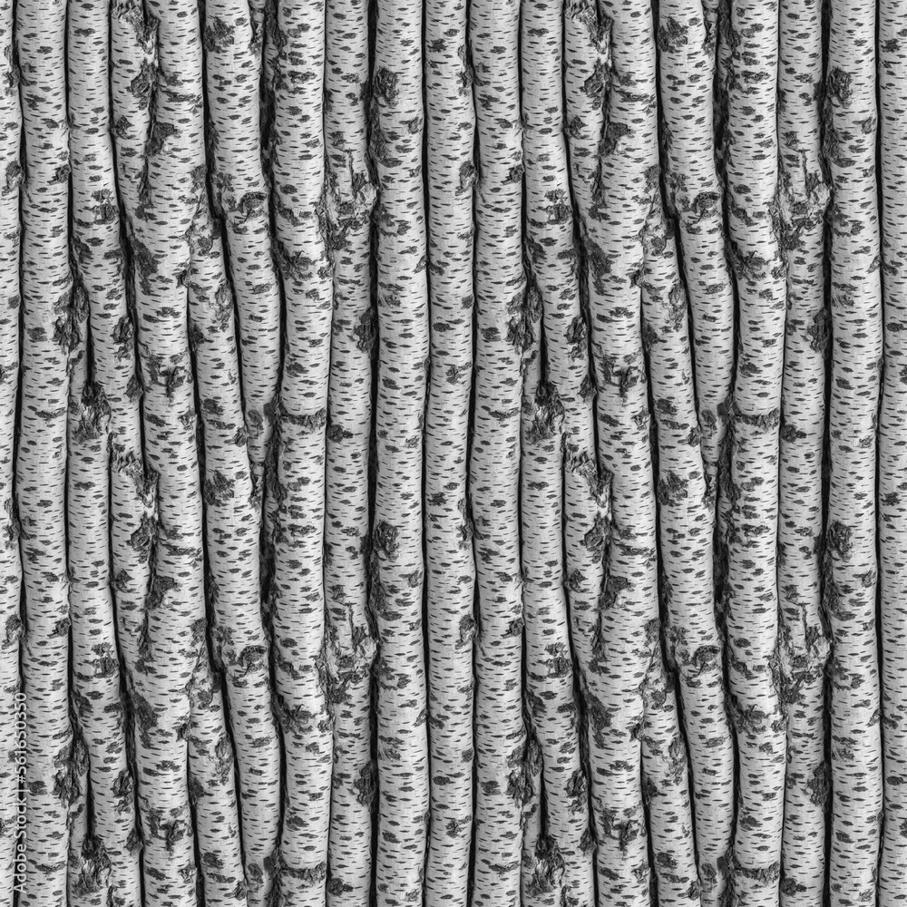 Obraz premium Birch logs. Close-up. Seamless illustration, Background
