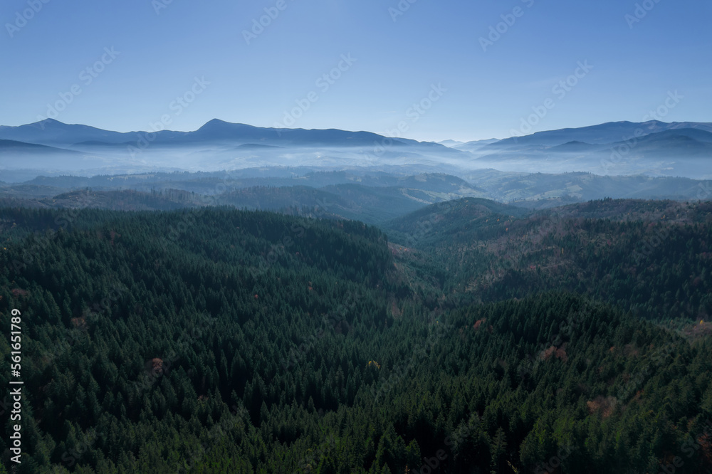 Panoramic view of morning light fog over green pine forest. View from above.