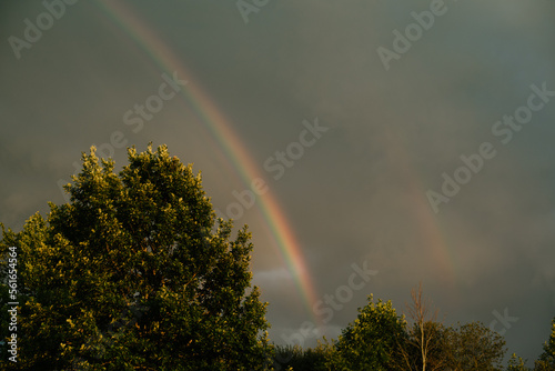 Rainbow