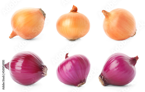 Collage with yellow and red onions on white background