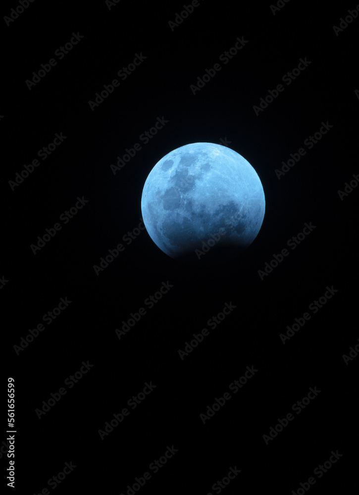Fototapeta premium full blue moon in the night