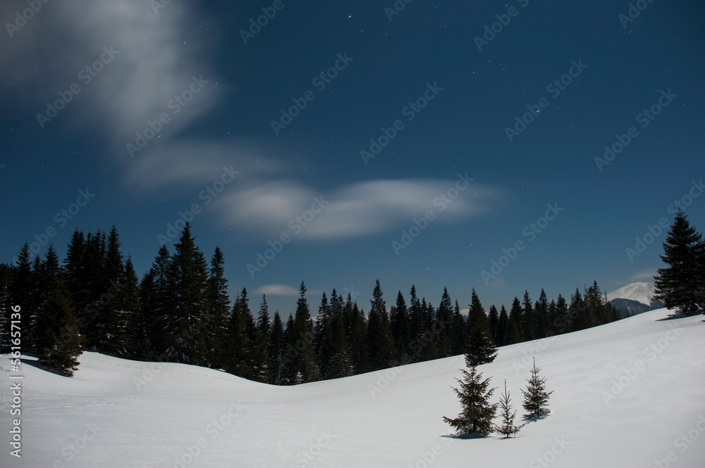 Winter landscape with spruce forest and starry sky in high mountains