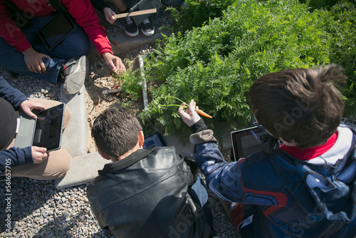 Kids bring their tablets on an outdoor practical activity class on carrot planting