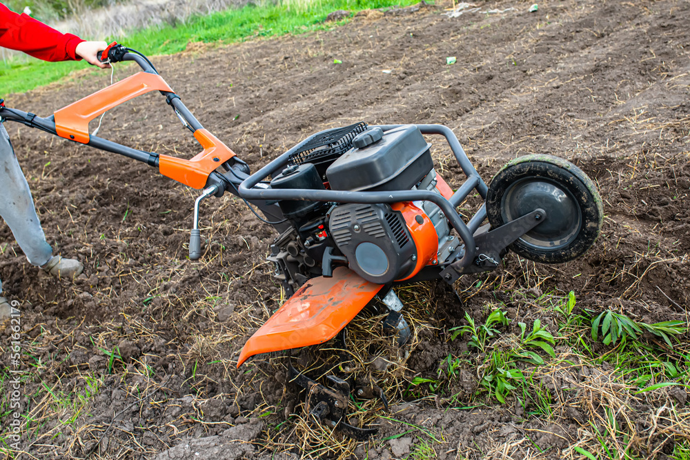 Work on the field of a home farm. Plowing the garden with a cultivator or tiller.Cultivator cutters entangled in weeds and Elymus repens
