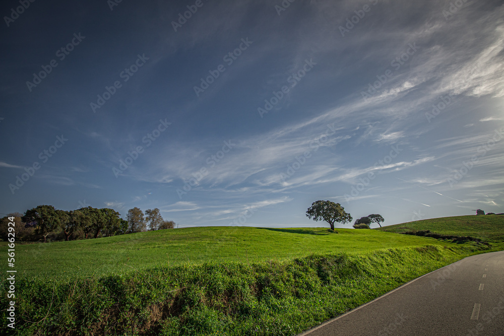 Obraz premium landscape with a road