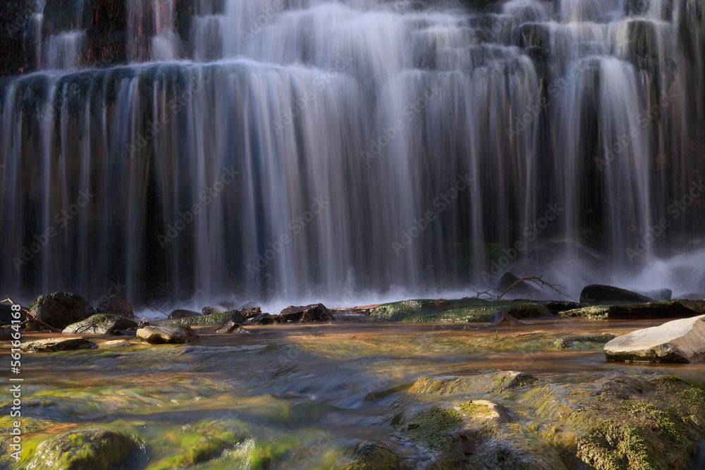waterfall in the forest waterfall in the forest