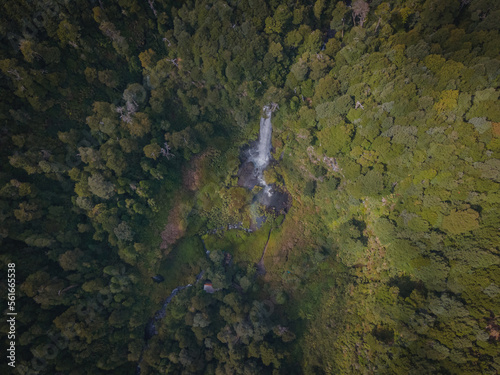 waterfall in the middle of an araucano forest photo