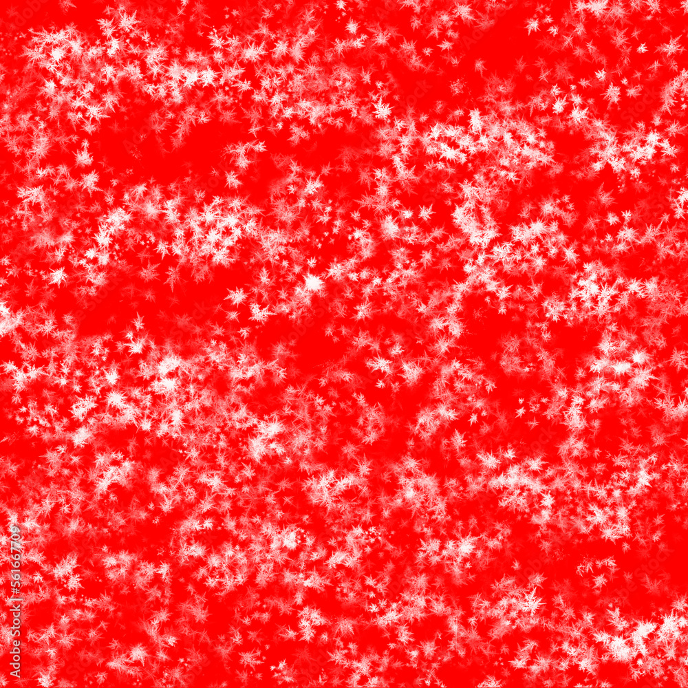 Snowfall overlay isolated in red background abstract. Royalty high-quality free stock photo of snow falls, Blizzard, snowflakes. Falling down real snowflakes heavy snow, for design Getting card